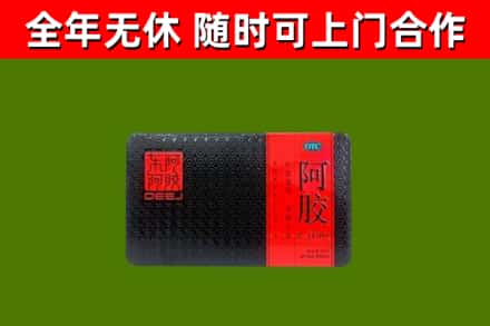 射阳县回收阿胶